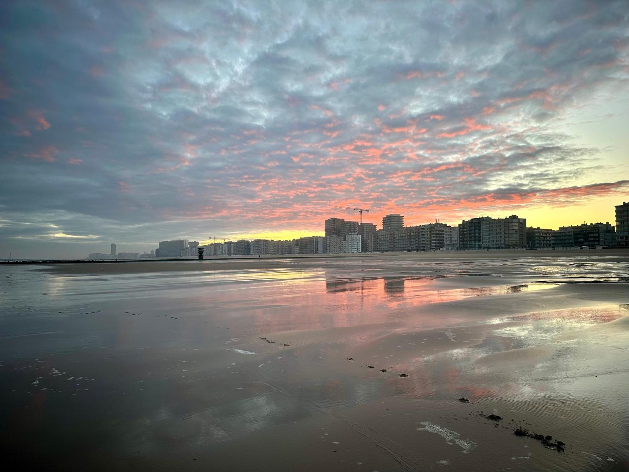 Oostende Luxury Seaview Studio - Large Terrace- Swimming Pool - Parking 외부 사진